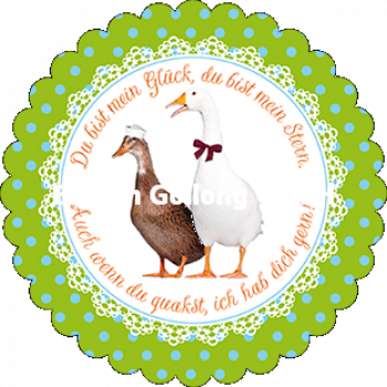 Edition Gollong  Kathrin Stockebrand "Du bist mein Glück...." Gänse 14x14cm