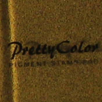 Pretty Color Pigment Stempelkissen „curry“ in Kunsstoffbox 3,3 x 3,3 cm