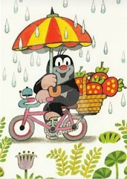 Zdeněk Miler "Radfahren bei jedem Wetter" Der kleine Maulwurf, Größe: 10,5x15 cm