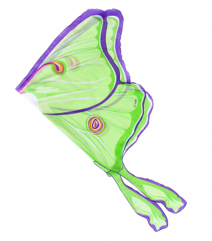 NoaPoa Dreamy Dress-Up „Luna Motte“: Schmetterlingsflügel grün für Kinder, Größe: 100cmx83cm