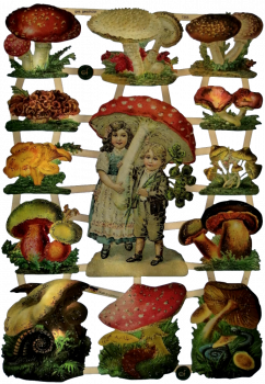 "Pilze", 7355,  mit Glimmer, Glanzbilder, Größe: 16,5 x 23,5 cm