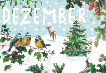 Carola Pabst "Dezember" Monats-Postkarte, Größe: 10,5x15 cm