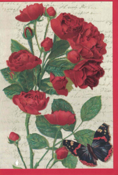 Carola Pabst „Rosen“: Doppelkarte 12x17,2cm
