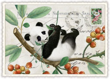Edition Tausendschön "Panda" PK794 Größe: 10,5x15 cm