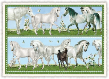 Edition Tausendschön "Pferde" PK831 Größe: 10,5x15 cm
