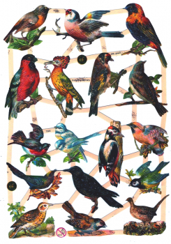 "Vögel", 7323,  mit Glimmer, Glanzbilder, Größe: 16,5 x 23,5 cm