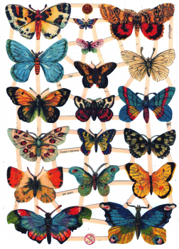"Schmetterlinge", 7297, mit Glimmer, Glanzbilder, Größe: 16,5 x 23,5 cm