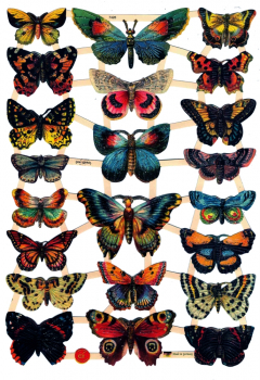 Glanzbilder mit Glimmer Schmetterlinge 7426