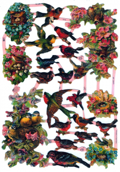 "Vögel", 7212, mit Glimmer, Glanzbilder, Größe: 16,5 x 23,5 cm