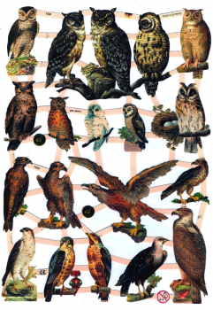 "Vögel", 7333,  mit Glimmer, Glanzbilder, Größe: 16,5 x 23,5 cm
