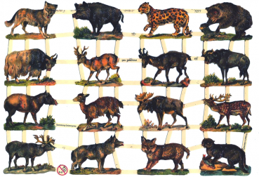 "Wilde Tiere" 7277, mit Glimmer, Glanzbilder, Größe: 16,5 x 23,5 cm