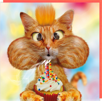 „Happy Birthday“: Katze mit Flaum Doppelkarte mit Umschlag  Gr: 15,8x15,8cm