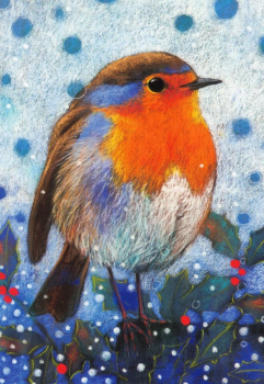 Loes Botman "Rotkehlchen" Postkarte, Größe: 10,5x15 cm