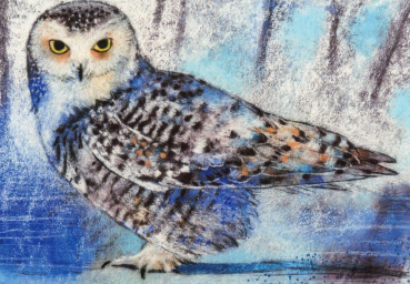 Loes Botman "Schneeeule" Postkarte, Größe: 10,5x15 cm