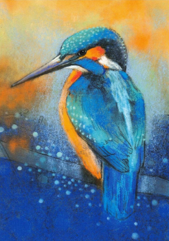 Loes Botman "Eisvogel" Postkarte, Größe: 10,5x15 cm