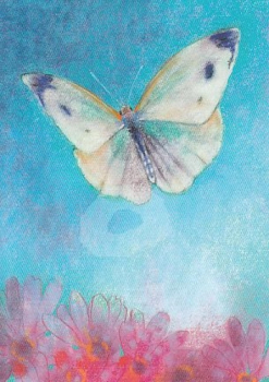 Loes Botman "Klein Insectenboek 3" Postkarte, Größe: 10,5x15 cm