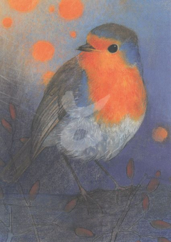 Loes Botman "Klein Vogelboek 2" Postkarte, Größe: 10,5x15 cm