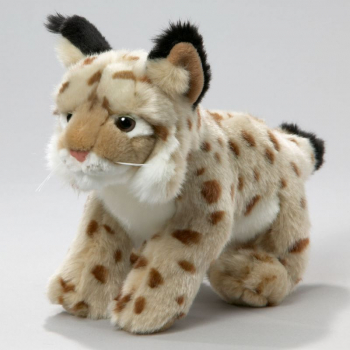 Loyal Plush „Luchs“: Plüschtier für Kinder ab drei Jahren, Größe: 20cm