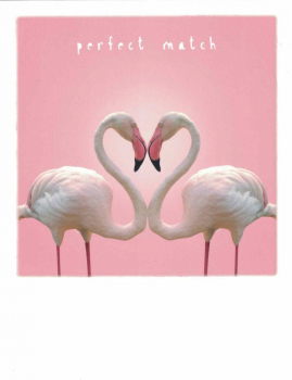 PolaCARD "Flamingo-Herz" Postkarte, Größe: 14,0x10,8 cm