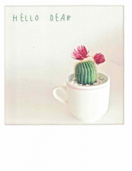 PolaCARD Kaktus - HELLO DEAR CACTUS