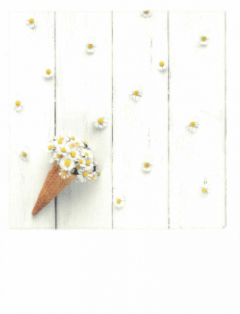 PolaCARD "Margeriten-Eis" Postkarte, Größe: 14,0x10,8 cm