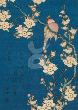 Katsushika Hokusai "Gimpel und Weinende Kirsche" Postkarte, Größe: 10,5x15 cm