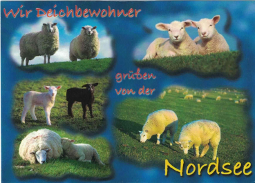 "Wir Deichbewohner grüßen von der Nordsee" Postkarte, Größe: 10,5x15 cm