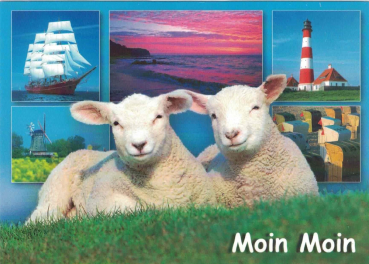 "Moin Moin" Postkarte, Größe: 10,5x15 cm