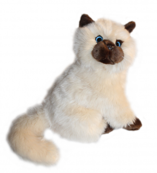 „Perserkatze“ sitzend beige: Plüschtier, Größe: 26cm