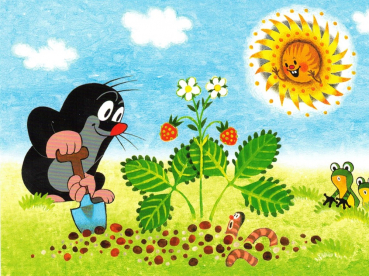 Zdeněk Miler "Maulwurf pflanzt Erdbeeren" Der kleine Maulwurf, Größe: 10,5x15 cm