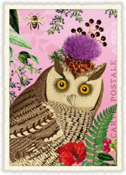 Edition Tausendschön "Eule" PK909 Größe: 10,5x15 cm