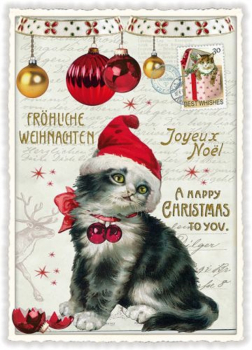 Edition Tausendschön "Fröhliche Weihnachten, Weihnachtskatze" PK864 Größe: 10,5x15 cm
