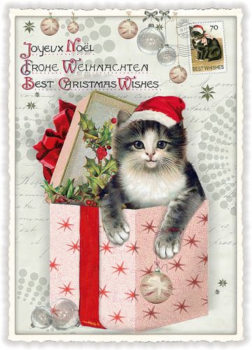 Edition Tausendschön "Joyeux Noél - Frohe Weihnachten - Best Christmas Wishes" mit Katze" PK865  Größe: 10,5x15 cm