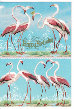 Edition Tausendschön Happy Birthday Flamingos Gr: 17x12cm