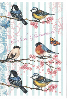 Edition Tausendschön Herzliche Glückwünsche Gr: 17x12cm