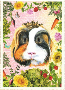 Edition Tausendschön "Meerschweinchen" PK935 Postkarte Größe: 10,5x15 cm