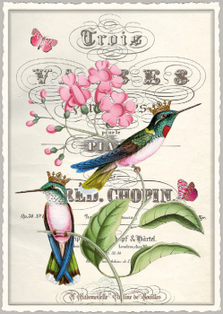 Edition Tausendschön "Blumen mit Kolibris" PK944 Postkarte Größe: 10,5x15 cm