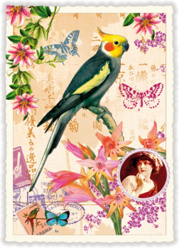 Edition Tausendschön "Papagei" PK376 Postkarte Größe: 10,5x15 cm