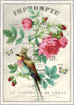 Edition Tausendschön "Pfingstrose mit Vogel" PK941 Postkarte Größe: 10,5x15 cm