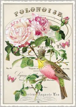 Edition Tausendschön "Weiß-rosa Pfingstrosen" PK943 Postkarte Größe: 10,5x15 cm