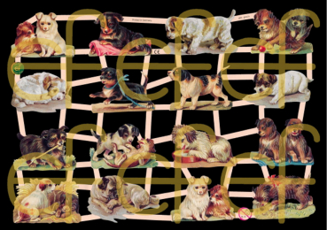 "Hunde, Jugendtraum", 7327,  mit Glimmer, Glanzbilder, Größe: 16,5 x 23,5 cm