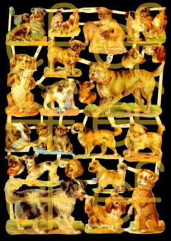 "Hundebabys, Jugendtraum", 7213,  mit Glimmer, Glanzbilder, Größe: 16,5 x 23,5 cm