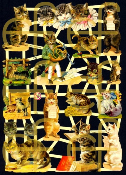 "Katzen", 7288, mit Glimmer, Glanzbilder, Größe: 16,5 x 23,5 cm