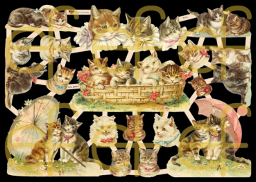 "Katzen", 7415,  mit Glimmer, Glanzbilder, Größe: 16,5 x 23,5 cm