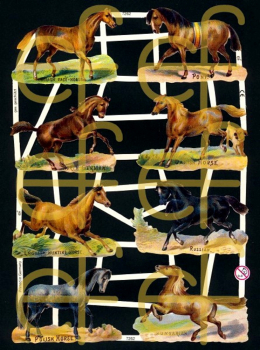 "Pferde l, Jugendtraum", 7262, mit Glimmer, Glanzbilder, Größe: 16,5 x 23,5 cm