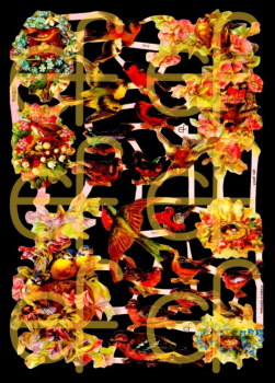 "Vögel, Nester, Jugedtraum", 7212, mit Glimmer, Glanzbilder, Größe: 16,5 x 23,5 cm
