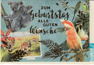 Carola Pabst „Zum Geburtstag Alle Guten Wünsche“: Wildtiere, Doppelkarte 12x17,2cm