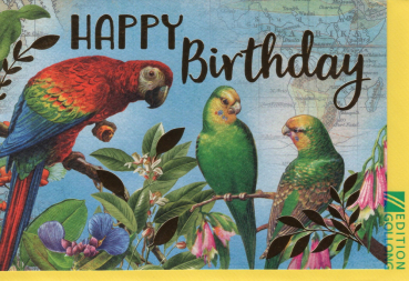 Carola Pabst „Happy Birthday“: Doppelkarte 12x17,2cm