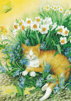 Inge Löök Nr. 113 "'Katze in den Blumen" Größe: 10,5x15 cm