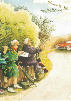Inge Löök Nr. 15 "'Frauen fahren per Anhalter" Größe: 10,5x15 cm